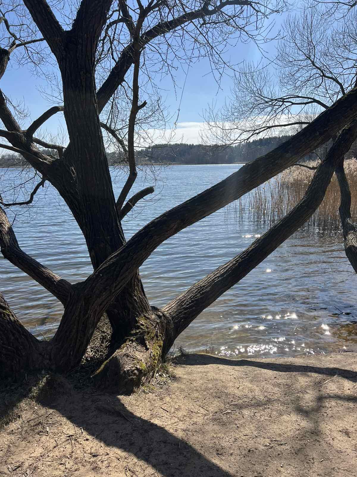 Haus 148 m² Bialarucki sielski Saviet, Belarus