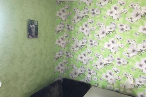 2-комнатная квартира, Минск (фото 3)