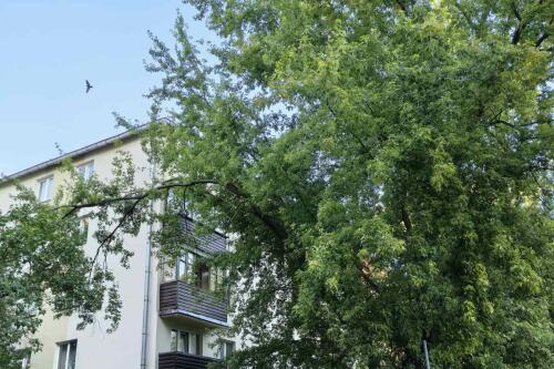 1-комнатная квартира, Минск (фото 2)