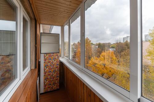 1-комнатная квартира, Минск (фото 9)