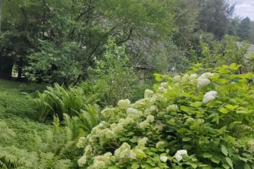 Дача, Бриллиант (фото 18)