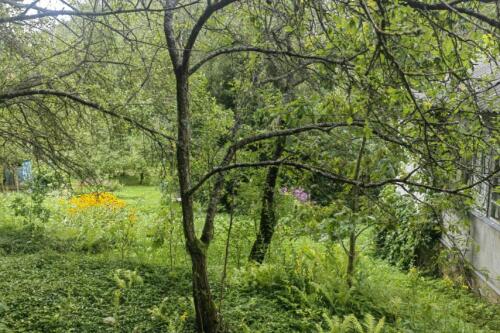 Дача, Бриллиант (фото 21)