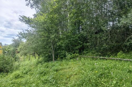 Дача, Бриллиант (фото 22)