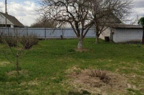 Дом, Нежевка (фото 19)