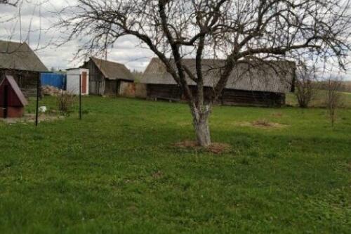 Дом, Нежевка (фото 18)