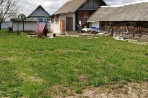 Дом, Нежевка (фото 15)