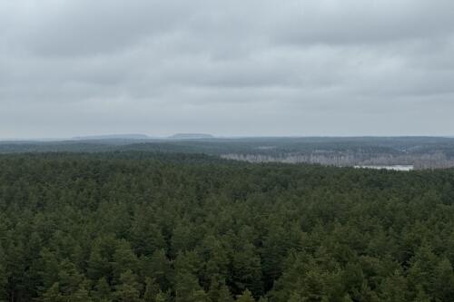 3-комнатная квартира, Ждановичи (фото 14)