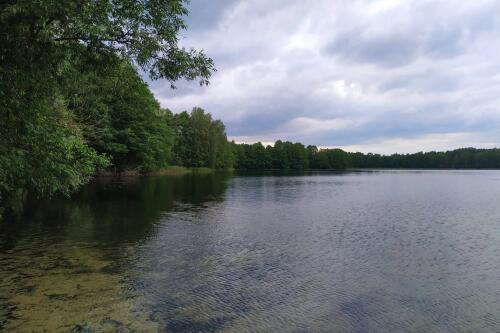 Дом, Черняты (фото 2)