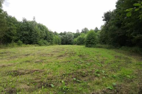 Участок, Должа (фото 17)