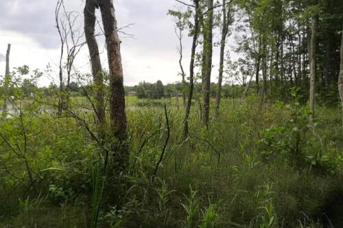 Участок, Должа (фото 22)