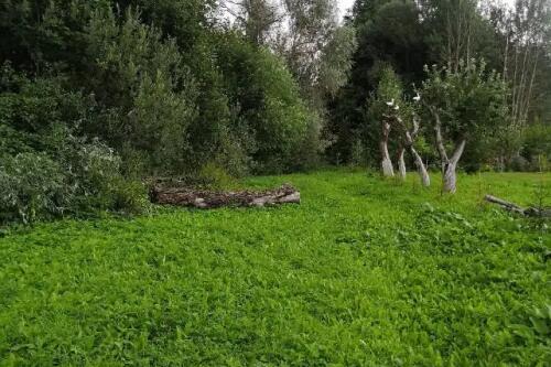 Участок, Должа (фото 18)