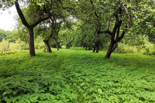 Участок, Должа (фото 24)