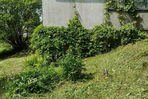 Дача, Бриллиант (фото 1)