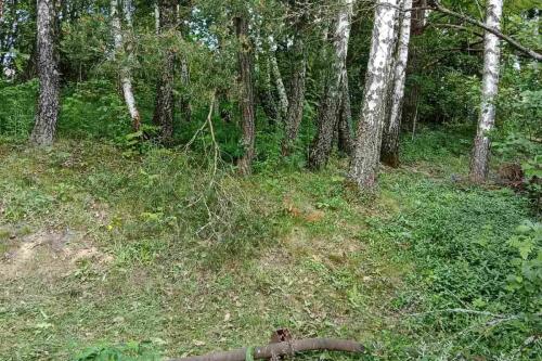 Дача, Бриллиант (фото 17)