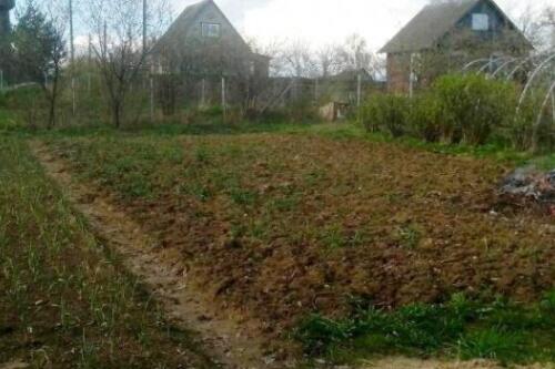 Участок, Холмы (фото 3)