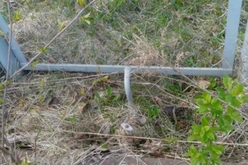 Участок, Холмы (фото 6)