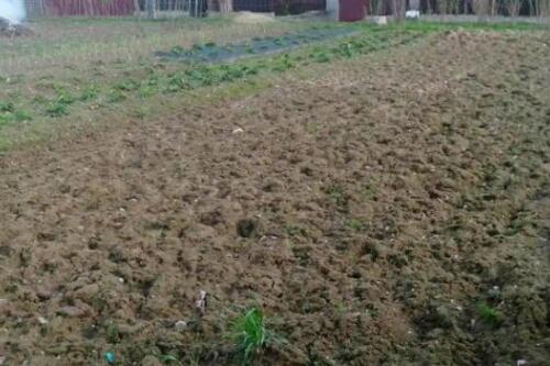 Участок, Холмы (фото 4)