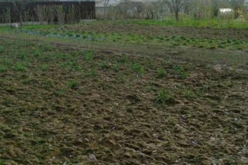 Участок, Холмы (фото 5)