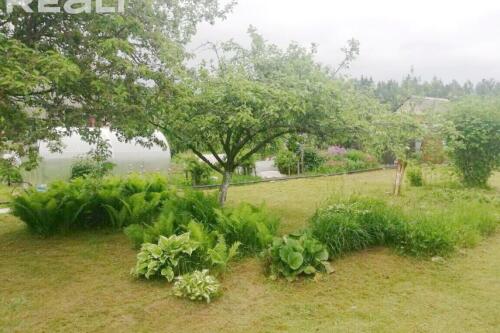 Дача, ПЕРЕЛЕСОК (фото 17)