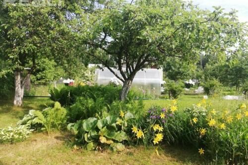 Дача, ПЕРЕЛЕСОК (фото 18)