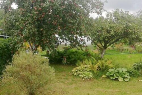 Дача, ПЕРЕЛЕСОК (фото 19)