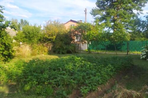 Дача, ПЕРЕЛЕСОК (фото 20)