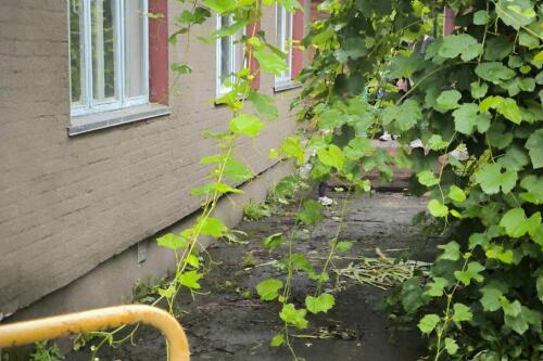 Дом, Петриков (фото 6)