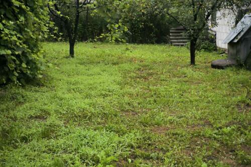 Дом, Петриков (фото 26)