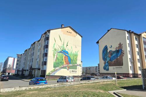 2-комнатная квартира, Фаниполь (фото 11)