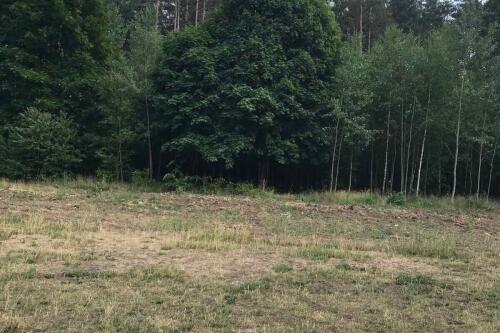 2-комнатная квартира, Минск (фото 11)