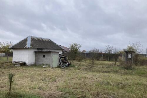 Дом, Пересады (фото 4)