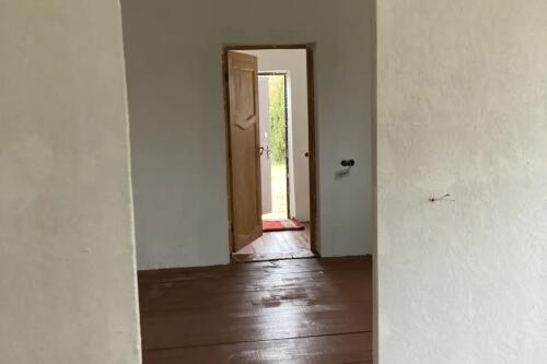 Дом, Пересады (фото 8)