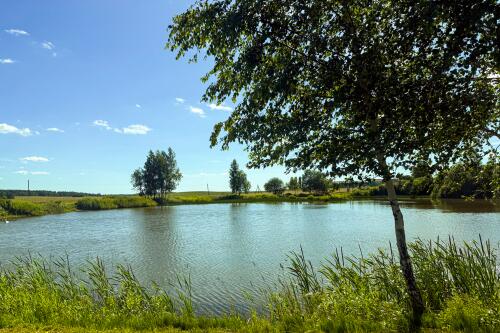 Дом, Мончаки (фото 3)