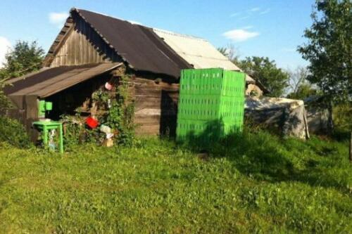 Полдома, Попки (фото 3)