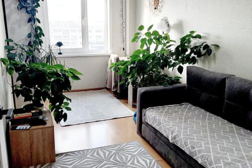 2-комнатная квартира, Минск (фото 0)