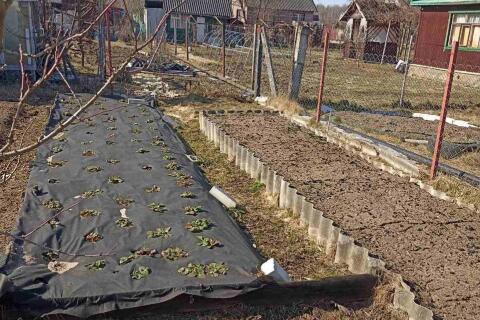 Продажа дачи!
